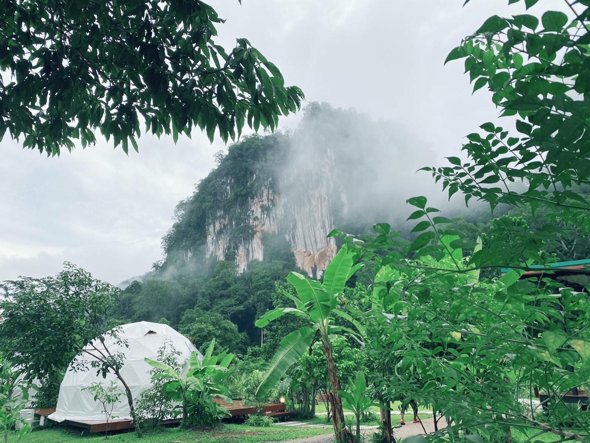 فندق Cosy Garden Khao Sok Khao Sok National Park المظهر الخارجي الصورة